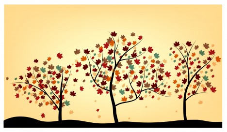 Maple tree drawing vectors stock in format for free download 5.63MB