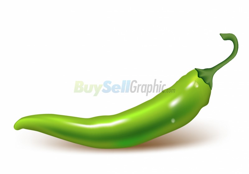 clipart green pepper - photo #36