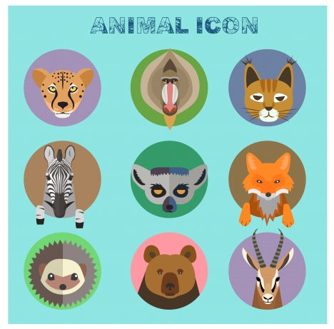 animal icons isolated with various types