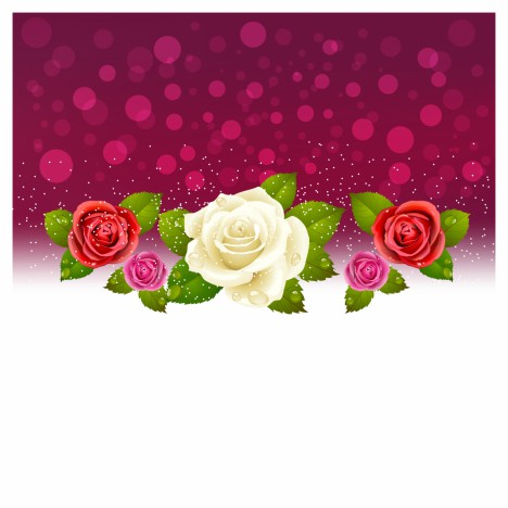 Background of red and white roses