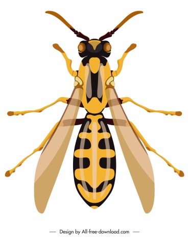 bee insect icon colorful closeup symmetric design