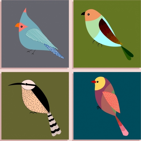 bird icons isolation various multicolored types