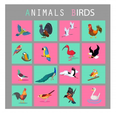 birds icons set isolated in flat colors style