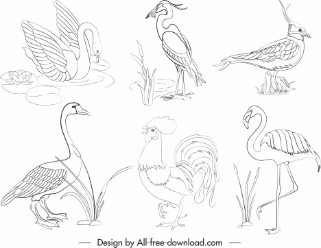 birds species icons black white handdrawn sketch