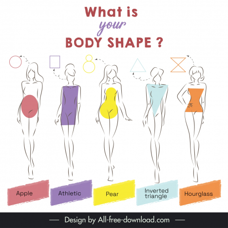 Body shape infographic template flat handdrawn ladies outline vectors ...