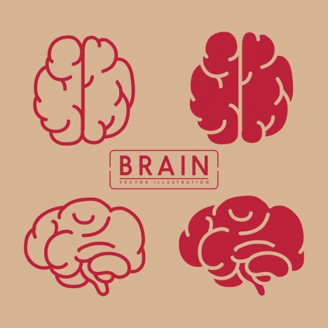 brain icons collection red flat design