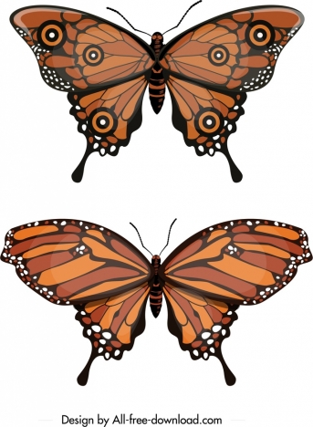 butterfly icons modern brown sketch