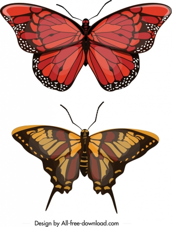 butterfly icons red brown decor modern design
