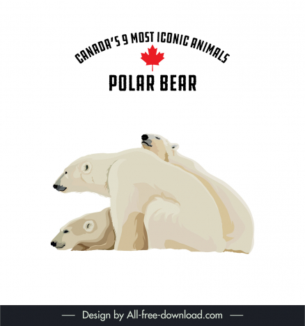 canadas 9 most iconic animals design elements polar bear cartoon sketch
