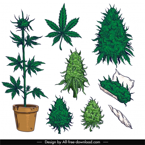 cannabis cigarette design elements tree leaf sketch