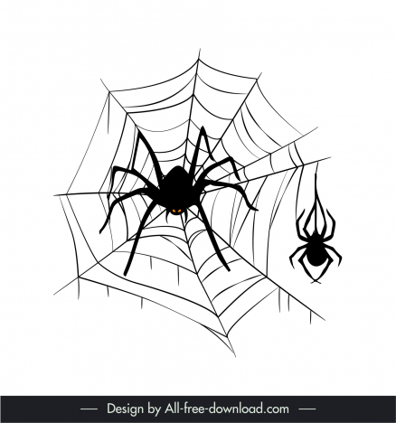 Spider web cobweb drawing hand drawn vector stock illustration  wall  stickers wildlife white web  myloviewcom