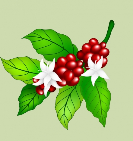 coffee beans flowers icon shiny multicolored design