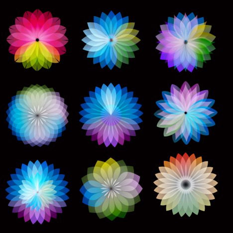 color wheel flowers