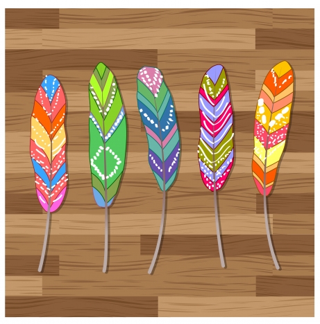 colorful abstract feather set