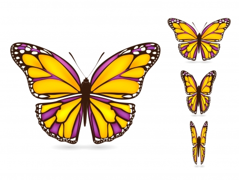 colorful butterflies set with realistic vector illustration