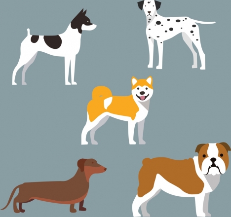 dog icons collections various colorful types