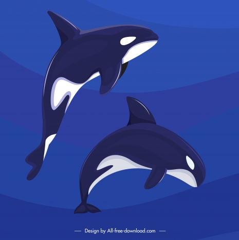 dolphin background motion sketch dark blue design