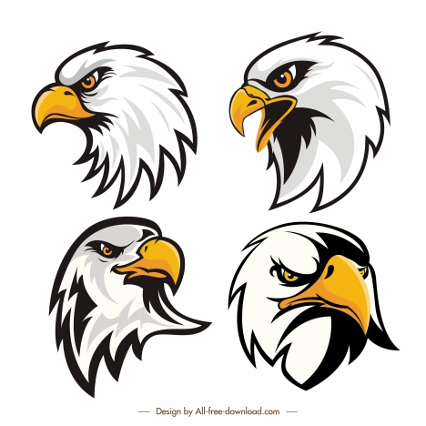 eagle head logotypes flat handdrawn sketch