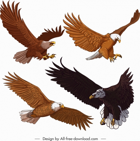 Eagle icons flying gesture cartoon sketch vectors stock in format for free  download 