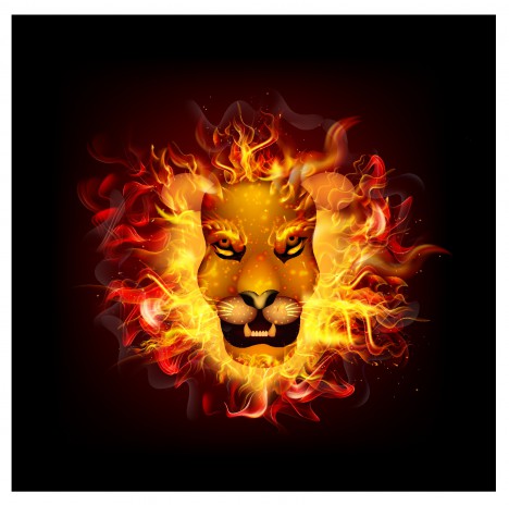 Fire lion