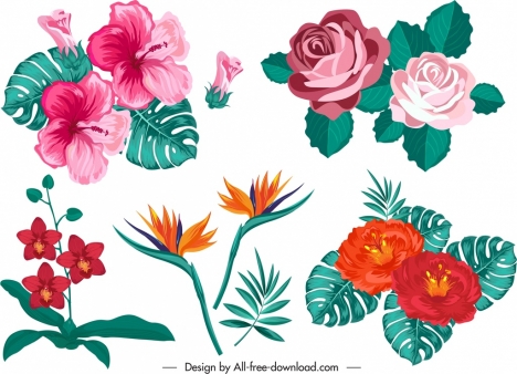 floral design elements colorful classical sketch