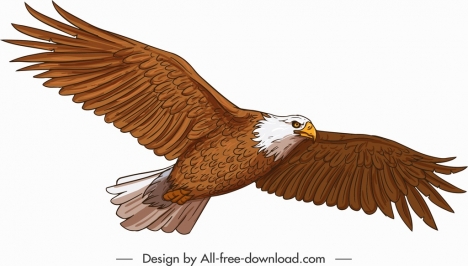 flying eagle icon straight wings sketch
