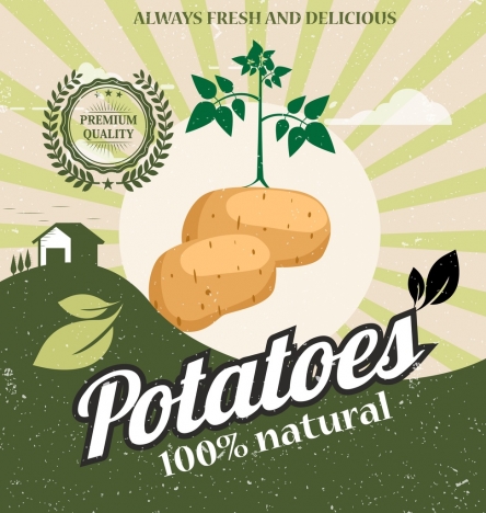 Fresh potato advertising multicolored retro design vectors stock in ...