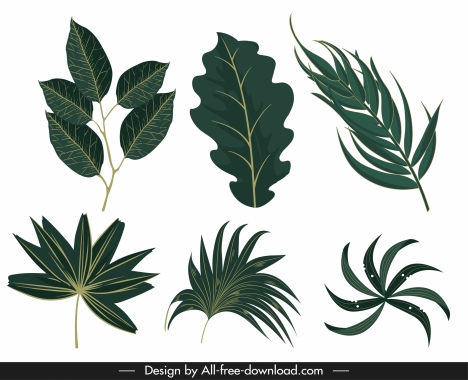 green leaf icons classic shapes design