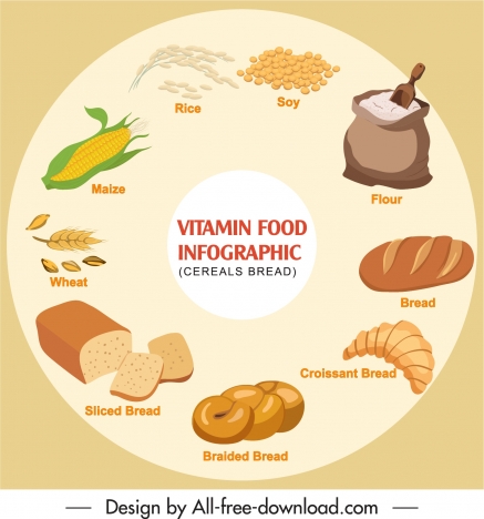 healthy food infographic banner bright colored circle layout