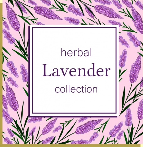 herbal background violet lavender icons repeating design