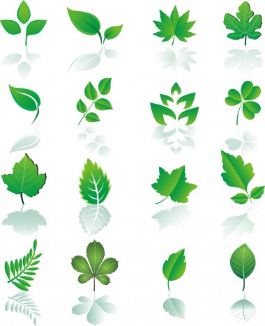 Leaf design element set