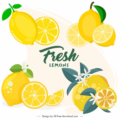 Lemon icons colored bright yellow slices sketch vectors stock in format ...