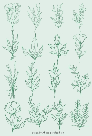 natural plants icons classic handdrawn botany leaf sketch