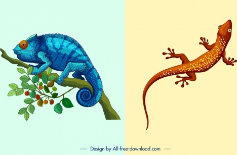 nature background templates chameleon gecko icons colored design