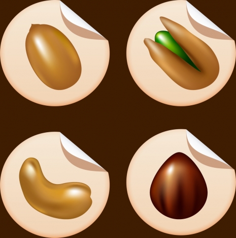 nuts icons isolation shiny 3d design