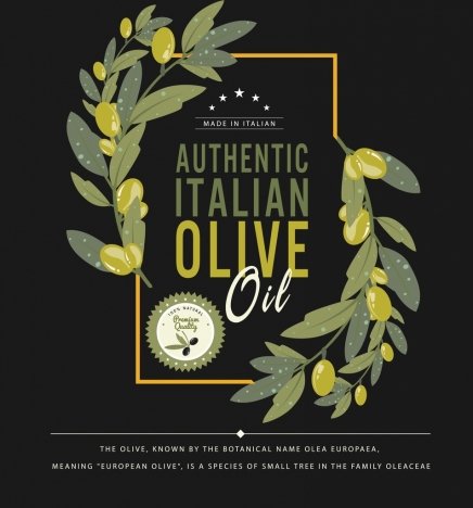 olive oil advertising green fruit icon dark design