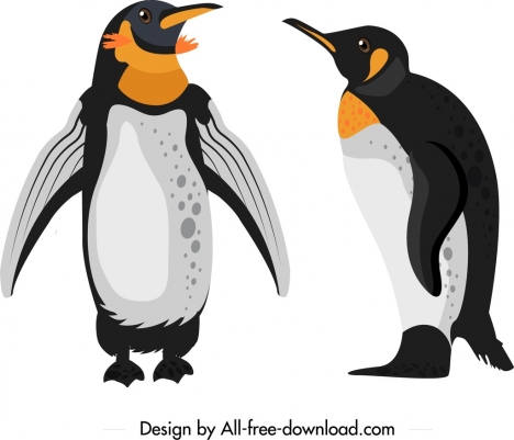 penguin animal icons colored cute cartoon sketch