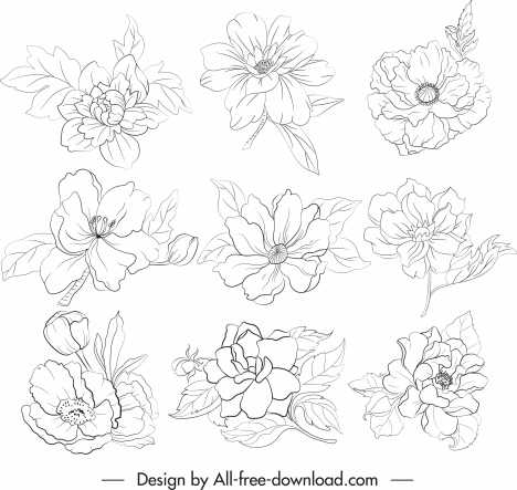 petals icons black white handdrawn sketch