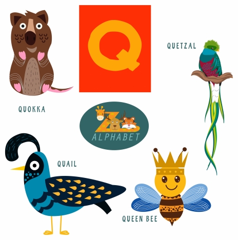 Q letter education with cute animals illustration vectors stock in format  for free download 