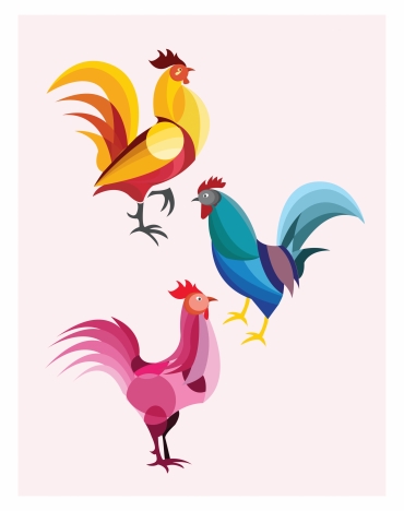 roosters collection isolated in various colors