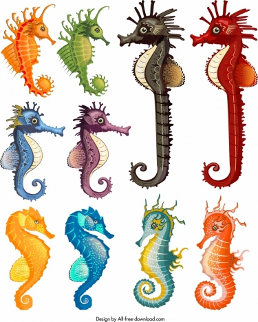 Seahorse species icons collection multicolored cartoon design vectors stock  in format for free download 