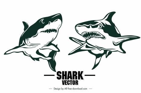 shark icons handdrawn sketch classic design