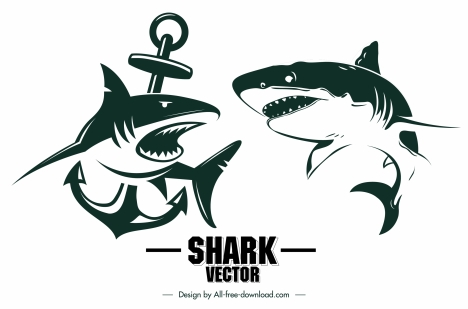 Premium Vector  Hand drawn illustration of traditional shark tattoo outline