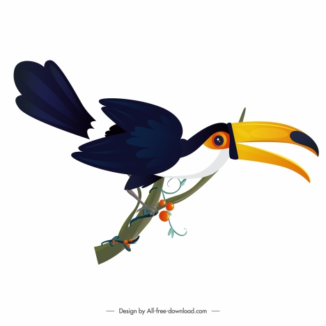 toucan bird icon modern colorful design cartoon sketch