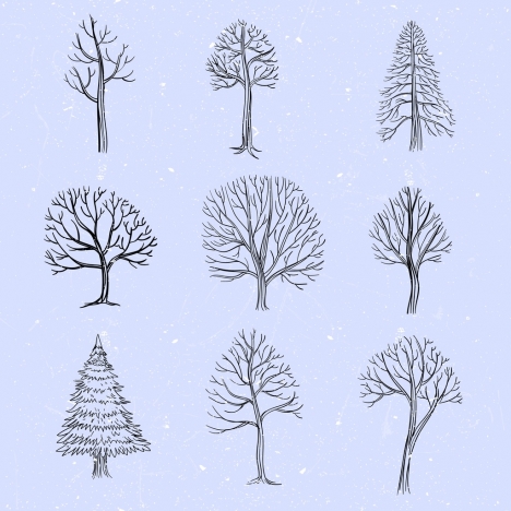 tree icons collection leafless decor handdrawn sketch