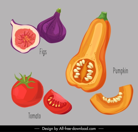 vegetables icons retro handdrawn figs tomato pumpkin sketch