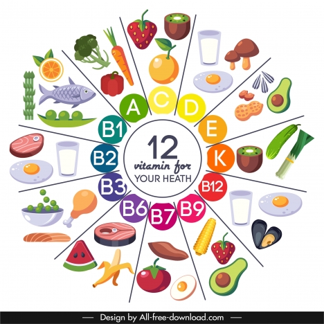 Vitamin food infographic banner bright colorful circle layout vectors ...