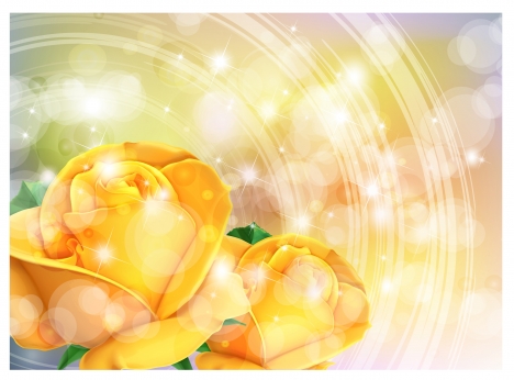 yellow rose romantic background
