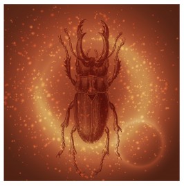 ancient beetle