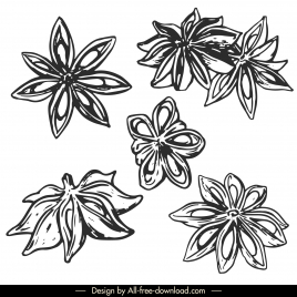 anise object icons classical black and white handdrawn  lineart sketch